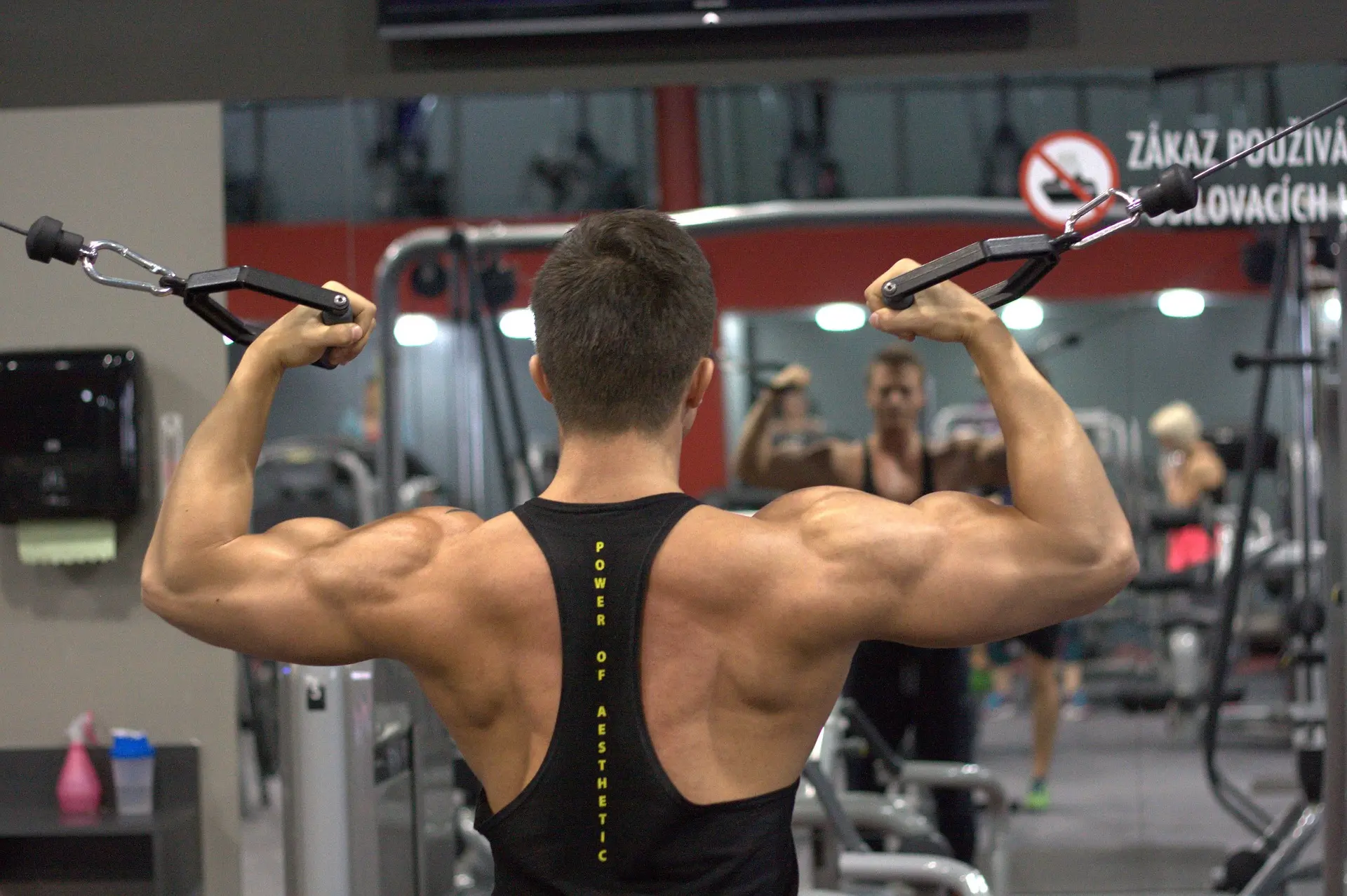 Cómo ganar masa muscular