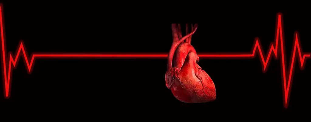 el cardio es la mejor manera para quemar grasa - corazón