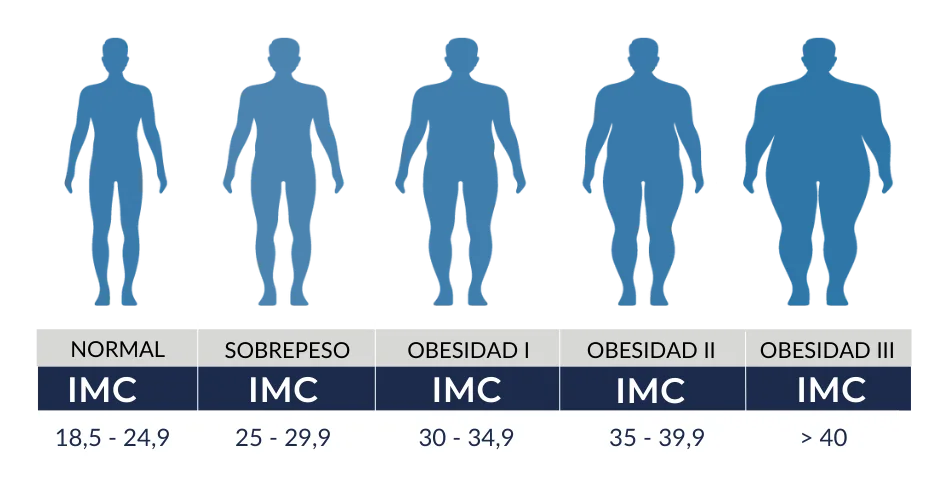 cómo se calcula el índice de masa corporal