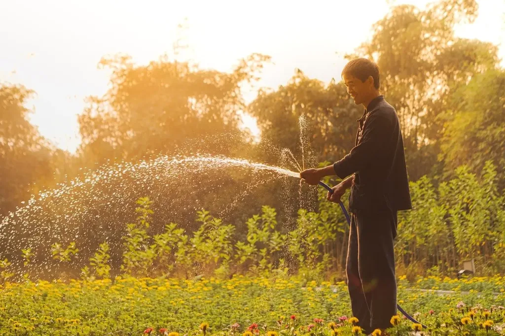 Hombre rociando agua con una manguera