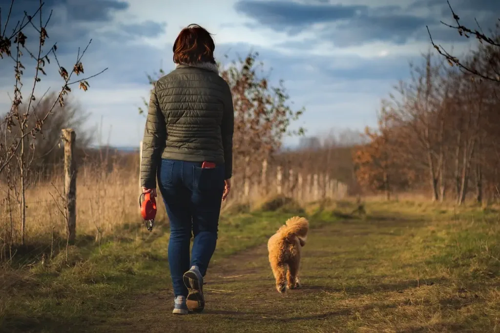beneficios de caminar
